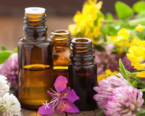 Fleurs-de-Bach-Florence-Drean-Naturopathe-Saint-Genis-Laval Fleurs-de-Bach-Florence-Drean-Naturopathe-Saint-Genis-Laval